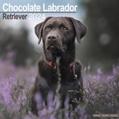 Labrador Retriever Bruin Kalender 2024