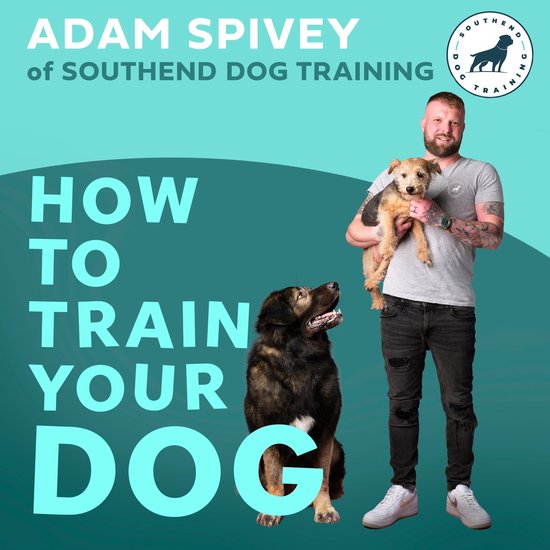 How to Train Your Dog - cover