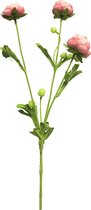 Ranunculus tros mini roze 68cm
