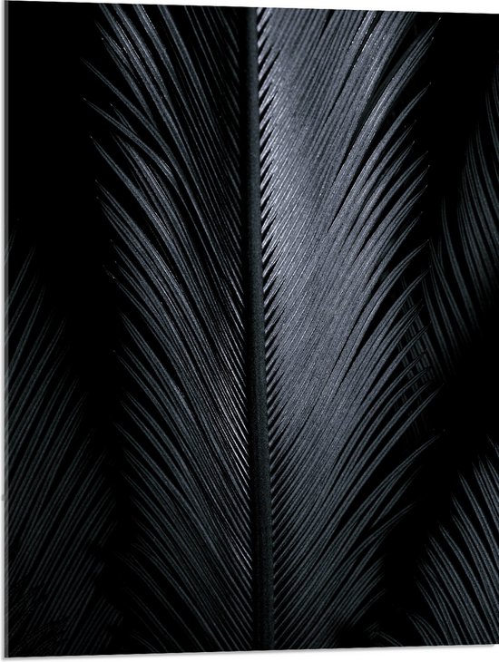 Acrylglas - Plant - Blad - Zwart - Wit - 60x80 cm Foto op Acrylglas (Wanddecoratie op Acrylaat)