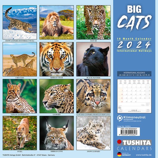 Big Cats Kalender 2024