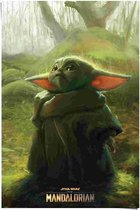 Poster Baby Yoda Grogu 91,5x61 cm