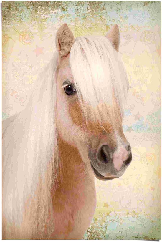 Poster Schattige Pony 91,5x61 cm