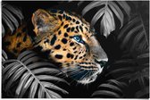 Poster Jungle luipaard 61x91,5 cm