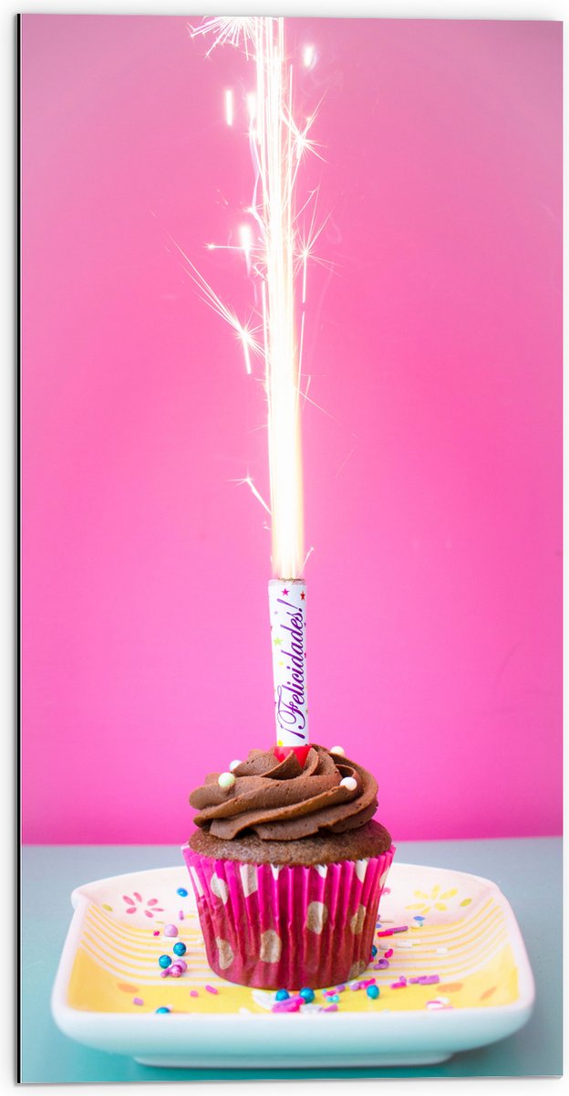 Dibond - Verjaardagscupcake met Chocolade Topping en Fontein - 50x100 cm Foto op Aluminium