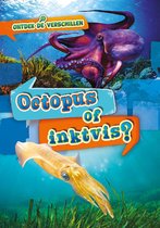 Ontdek de verschillen - Octopus of inktvis?