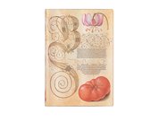 Mira Botanica- Lily & Tomato (Mira Botanica) Midi Unlined Journal