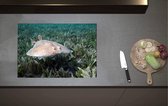 Inductieplaat Beschermer - Rog zwemmend langs Koraal op de Bodem van de Zee - 70x52 cm - 2 mm Dik - Inductie Beschermer van Vinyl
