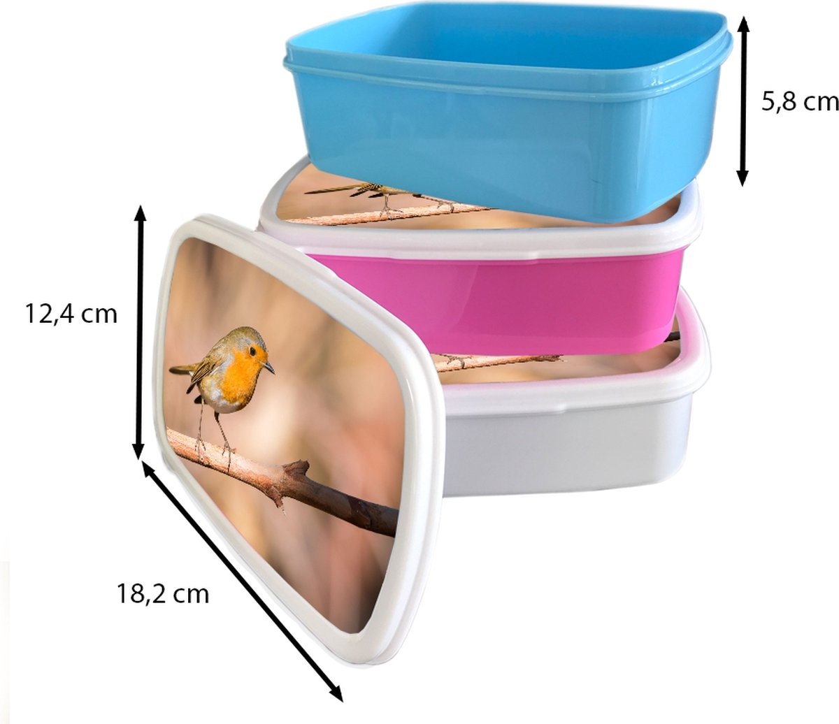 Broodtrommel Wit - Lunchbox - Brooddoos - Vogel - Tak - Roodborstje - 18x12x6 cm - Volwassenen