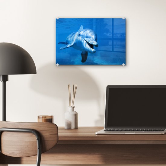 Peinture sur Verre - Dauphin - Water - Mer - 30x20 cm - Peintures sur Verre Peintures - Photo sur Glas