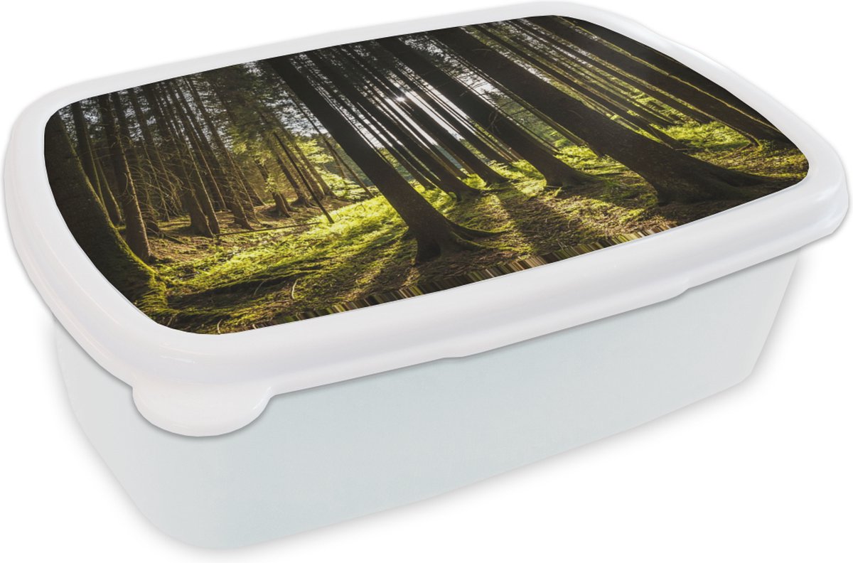 Broodtrommel Wit - Lunchbox - Brooddoos - Boom - Natuur - Zon - Bos - 18x12x6 cm - Volwassenen