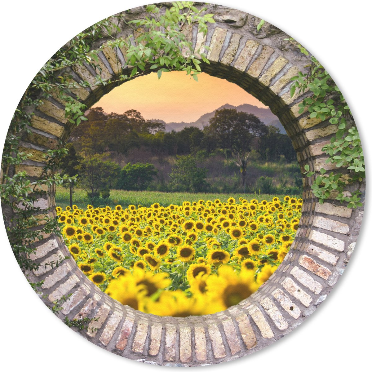 Muismat rond 30x30 cm - Mousepad Doorkijk - Bloemen - Zonnebloem - Ronde muismatten