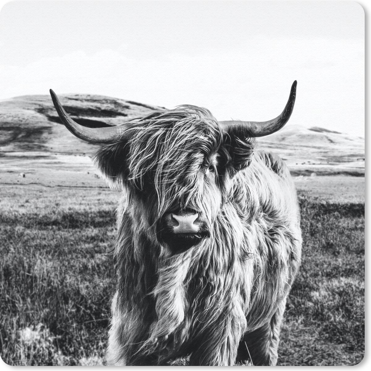 Muismat 30x30 cm - Mousepad Zwart - Wit - Schotse Hooglander - Gras - Muismatten