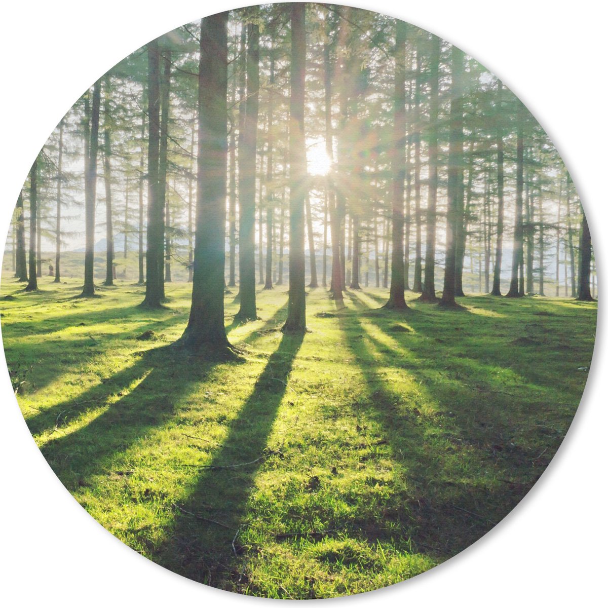 Muismat rond 20x20 cm - Mousepad Bomen - Natuur - Bos - Ronde muismatten