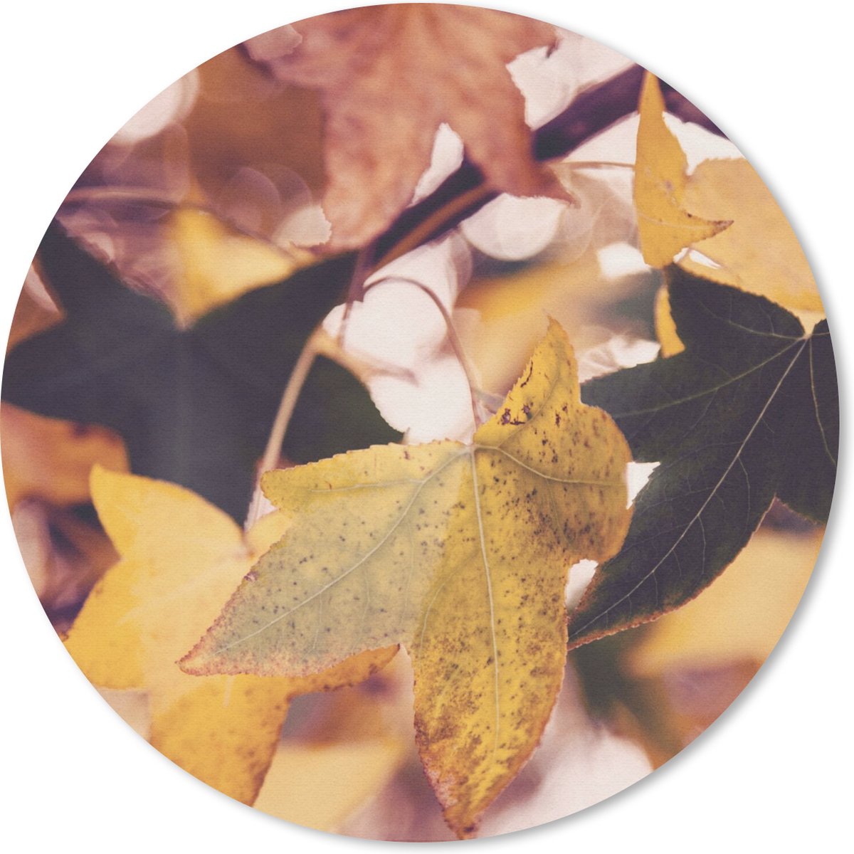 Muismat rond 40x40 cm - Mousepad Bladeren - Esdoorn - Herfst - Seizoenen - Ronde muismatten