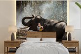 Behang - Fotobehang Olifant met een lezend kind - Breedte 350 cm x hoogte 350 cm