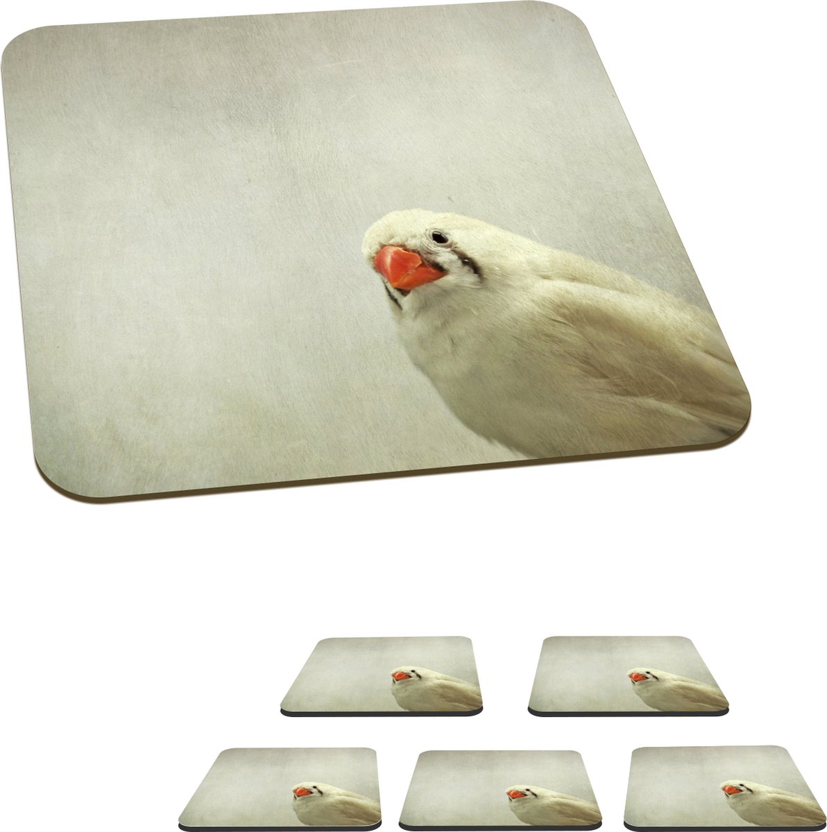 Onderzetters voor glazen - Een wit gekleurde Zebravink - 10x10 cm - Glasonderzetters - 6 stuks