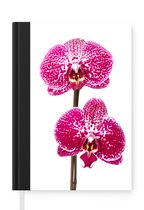 Notitieboek - Schrijfboek - Orchidee roze - Notitieboekje klein - A5 formaat - Schrijfblok