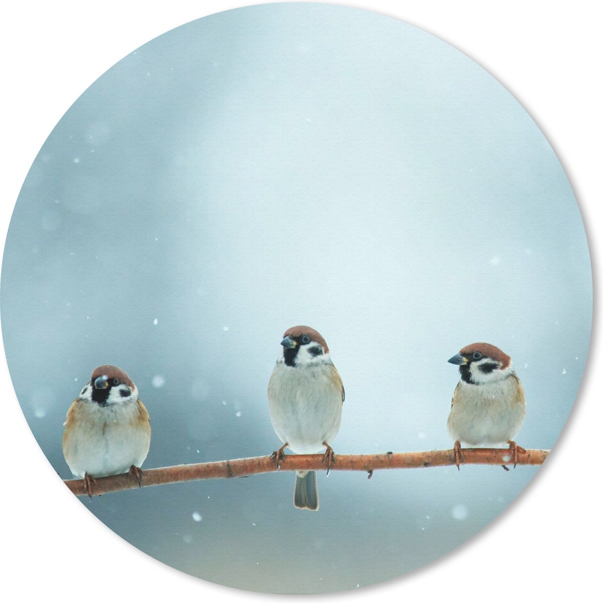 Muismat rond 50x50 cm - Mousepad Vogels - Mus - Sneeuw - Winter - Ronde muismatten
