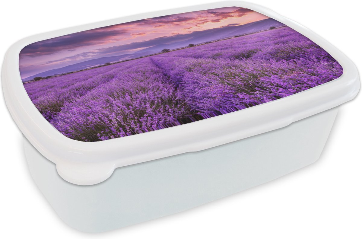 Broodtrommel Wit - Lunchbox - Brooddoos - Lavendel - Paars - Bloemen - Veld - 18x12x6 cm - Volwassenen