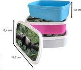 Broodtrommel Roze - Lunchbox - Brooddoos - Panda - Boom - Dieren - Natuur - 18x12x6 cm - Kinderen - Meisje