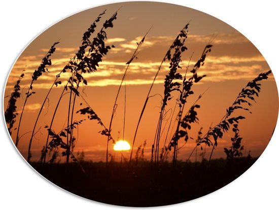 PVC Schuimplaat Ovaal - Zonsondergang in het Weiland - 80x60 cm Foto op Ovaal (Met Ophangsysteem)