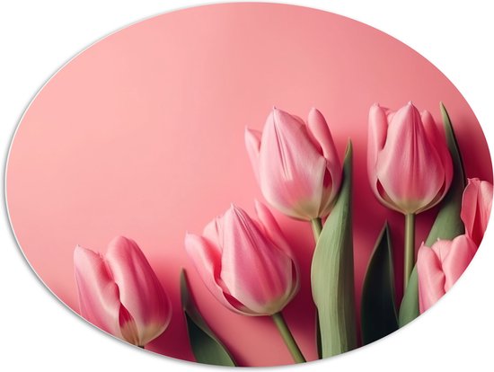 PVC Schuimplaat Ovaal - Roze Tulpen met Roze Achtergrond - 108x81 cm Foto op Ovaal (Met Ophangsysteem)