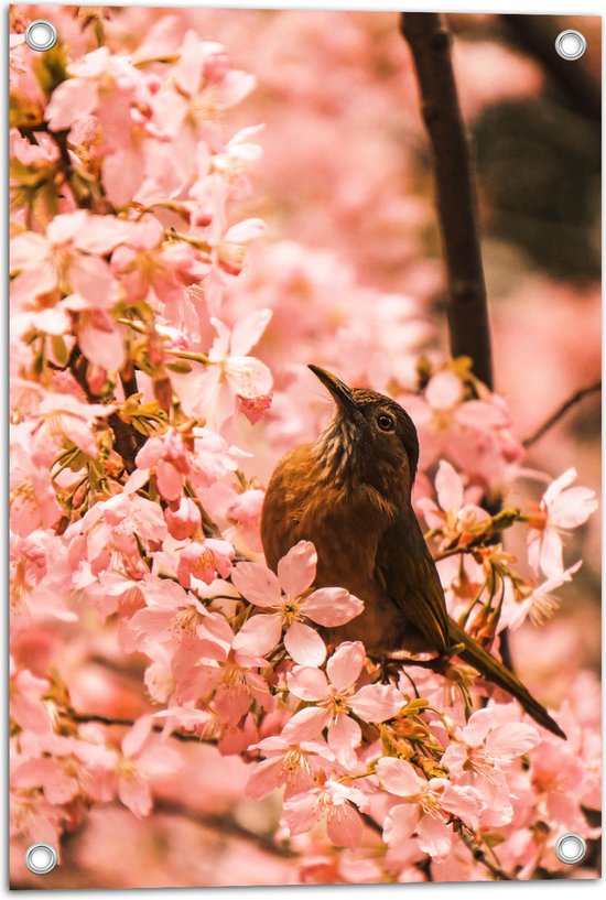 Tuinposter – Bloemen - Dieren - Vogel - Kleuren - 40x60 cm Foto op Tuinposter (wanddecoratie voor buiten en binnen)