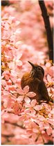 Poster Glanzend – Bloemen - Dieren - Vogel - Kleuren - 50x150 cm Foto op Posterpapier met Glanzende Afwerking