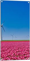 Tuinposter – Bloemen - Bloemenveld - Tulpen - Landschap - Windmolens - Nederland - Kleuren - 50x100 cm Foto op Tuinposter (wanddecoratie voor buiten en binnen)