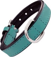 Dog collar Gloria Padded Turquoise 55 cm (55 x 2,5 cm)