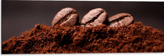 Dibond - Drie Koffiebonen met Gemalen Koffie - 90x30 cm Foto op Aluminium (Met Ophangsysteem)