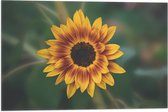 Vlag - Gele Zonnebloem - 60x40 cm Foto op Polyester Vlag