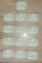 Mijlpaal kaarten Acryl - Maanden set - 13 borden - baby - milestone - zwanger - kraamcadeau - babyshower - groen - vierkant