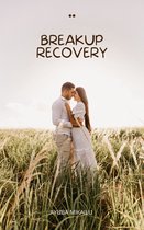 Breakup Recovery
