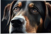 Acrylglas - Close-up van Kop van Bruin met Zwarte Hond - 60x40 cm Foto op Acrylglas (Met Ophangsysteem)