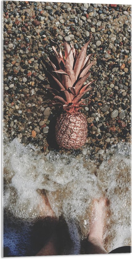 Acrylglas - Ananas op Kiezelstrand - 50x100 cm Foto op Acrylglas (Met Ophangsysteem)