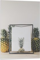 Vlag - Lijst met Ananas en Ananassen ernaast - 60x90 cm Foto op Polyester Vlag