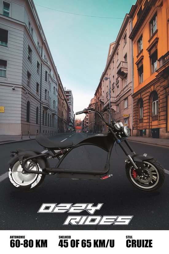 électrique Harley Citycoco Avec plaque d