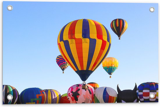 Tuinposter – Zee van Kleurrijke Luchtballonnen - 60x40 cm Foto op Tuinposter (wanddecoratie voor buiten en binnen)