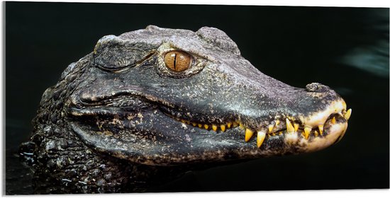 Een Angstaanjagend Rood Monster Met Horens En Scherpe Tanden. Het Heeft Drie Vingers Op Elke Hand En Ziet Eruit Alsof Het Klaar Is Om Aan Te Vallen 175834623