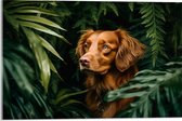 Acrylglas - Bruine Hond tussen de Groene Bladeren - 60x40 cm Foto op Acrylglas (Wanddecoratie op Acrylaat)