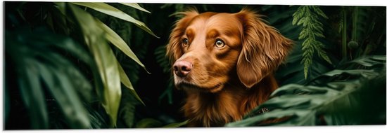 Acrylglas - Bruine Hond tussen de Groene Bladeren - 120x40 cm Foto op Acrylglas (Wanddecoratie op Acrylaat)