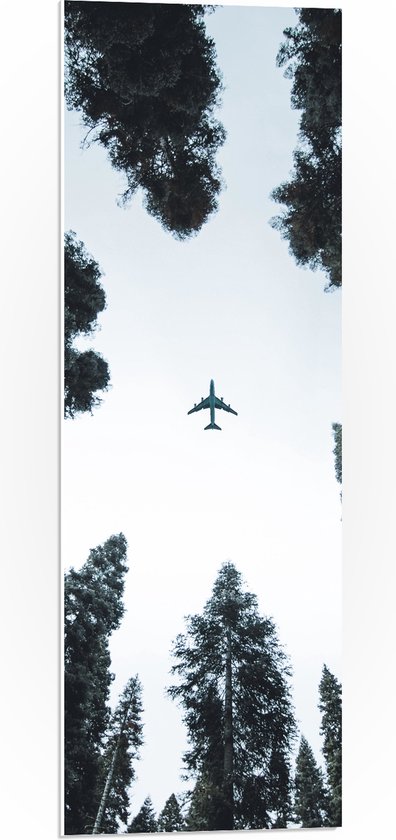 PVC Schuimplaat- Onderaanzicht van Passagiersvliegtuig tussen Hoge Bomen - 30x90 cm Foto op PVC Schuimplaat