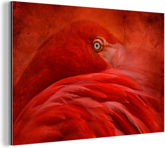 Wanddecoratie Metaal - Aluminium Schilderij Industrieel - Tropisch - Vogel - Rood - Dieren - 60x40 cm - Dibond - Foto op aluminium - Industriële muurdecoratie - Voor de woonkamer/slaapkamer