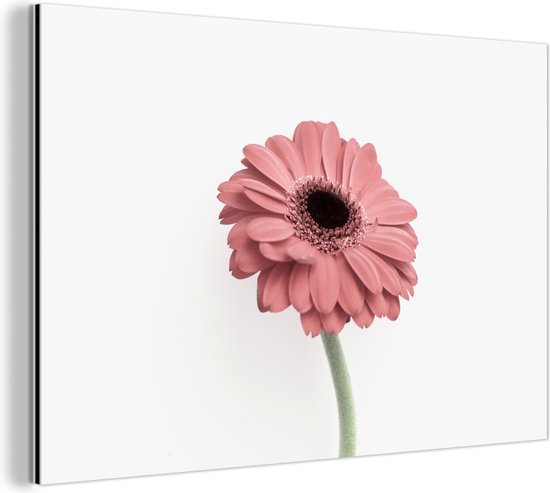 Décoration murale Métal - Peinture Aluminium Industrielle - Fleurs - Rose - Nature - Wit - Végétal - 180x120 cm - Dibond - Photo sur aluminium - Décoration murale industrielle - Pour le salon/chambre