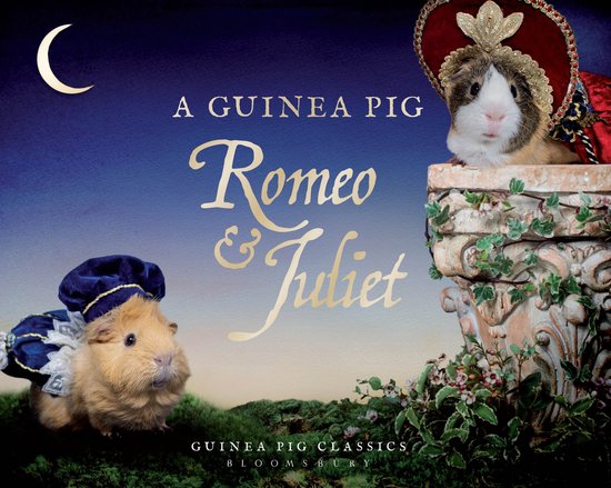 A Guinea Pig Romeo & Juliet - cover