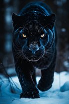 Black Panther Poster | Zwarte Panter Poster | Panter Poster | Dierenposter | Woondecoratie | 51x71cm | DZ | Geschikt om in te Lijsten