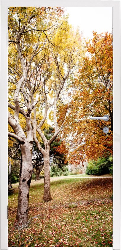 Sticker porte Automne - Arbres - Feuilles - nature - 90x235 cm - Affiche de porte