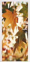 Deursticker Natuur - Herfstbladeren - Landelijk - 85x215 cm - Deurposter